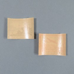 PAIRE DE TIMBRES IIIème REICH LVF LEGION DES VOLONTAIRES FRANCAIS SUR LE FRONT RUSSE AVEC SURCHARGE