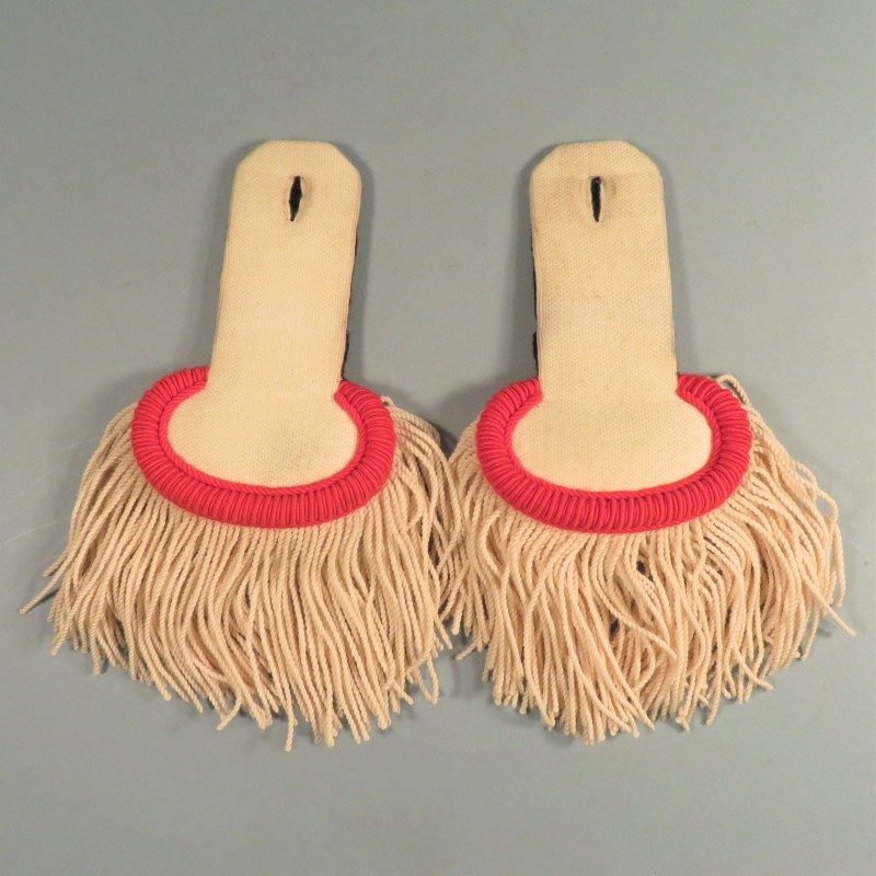EPAULETTES TRADITION COMMIS ET OUVRIERS D'ADMINISTRATION MILITAIRE
