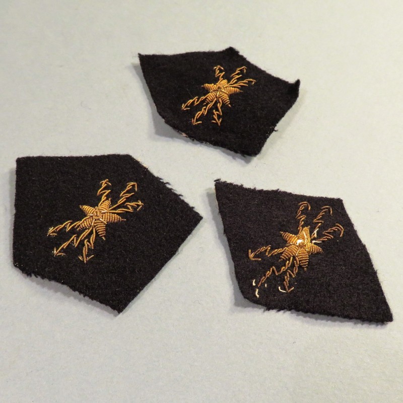 PAIRE DE PATTES DE COL ET LOSANGE D'OFFICIER AGENT DU CORPS DES TELEGRAPHISTES COLONIAUX OU DES TROUPES DE MARINE