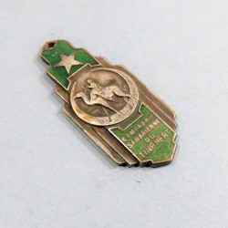INSIGNE MILITAIRE SAHARIEN COMPAGNIE SAHARIENNE DU TINRHERT MEHARISTE SANS FABRICANT