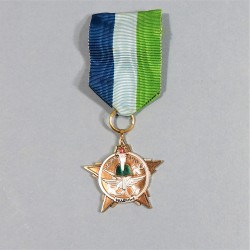 SYRIE MEDAILLE POUR L'ENTREINEMENT MILITAIRE DE DEUXIEME CLASSE MILITARY TRAINING MEDAL OF SYRIA °