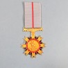 AFRIQUE DU SUD NAMIBIE MEDAILLE POLICE ETOILE POUR MERITE STAR FOR MERIT NAMIBIA SOUTH AFRICA °