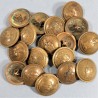 BOUTONS GENIE TROUPE DIAMETRE 2.4 cm EPOQUE 1850-1915 GUERRE 1914 - 1918 CAPOTE ET UNIFORME