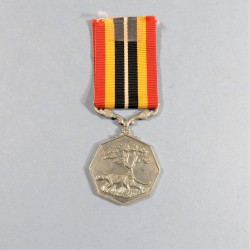 AFRIQUE DU SUD MEDAILLE DE L'AFRIQUE DU SUD ET DE SES CAMPAGNES CAMPAIGN SOUTH AFRICA MEDAL NUMEROTEE °