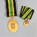 AFRIQUE DU SUD MEDAILLE ET SA REDUCTION APLA BRONZE SERVICE MEDAL SOUTH AFRICA NUMEROTEE AZANIAN PEOPLE'S LIBERATION ARMY °