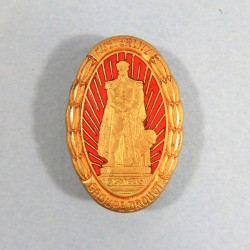 INSIGNE MILITAIRE AMICAL DU 8 ème REGIMENT D'ARTILLERIE RA GROUPE DROUOT AUSTERLITZ FABRICATION DRAGO BERANGER