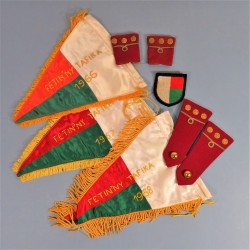 ENSEMBLE D'INSIGNES EPAULETTES GRADES ET FANIONS D'OFFICIER DE LA REPUBLIQUE MALGACHE MADAGASCAR ANNEES 1960