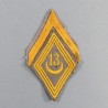 INSIGNE LOSANGE DE BRAS MODELE 1945 AVEC GRADE DE CAPORAL DU 13 ème REGIMENT DE TIRAILLEURS ALGERIENS RTA