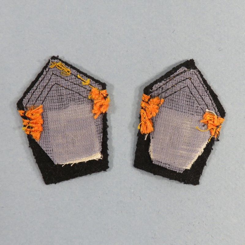 PATTES DE COL D'OFFICIER DU 1 er RCP REGIMENT DE CHASSEURS PARACHUTISTES 1950 1960