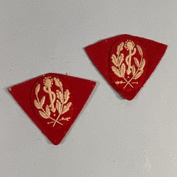 PAIRE DE PATTES DE COL TROUPE SIM SECTION D'INFIRMIERS MILITAIRE BRANCARDIERS POUR VESTE 1920 1935 ET 1938