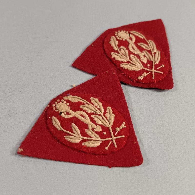 PAIRE DE PATTES DE COL TROUPE SIM SECTION D'INFIRMIERS MILITAIRE BRANCARDIERS POUR VESTE 1920 1935 ET 1938