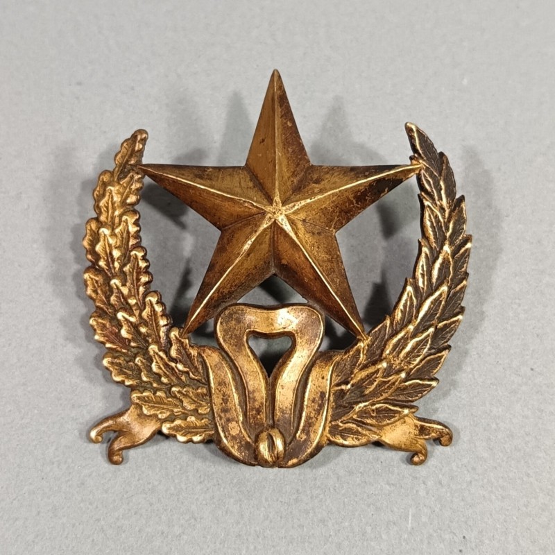 PLAQUE OU INSIGNE DE SHAKO OU GIBERNE D'OFFICIERS MODELE 1872 OFFICIER D'ADMINISTRATION DU SERVICE DE L'INTENDANCE