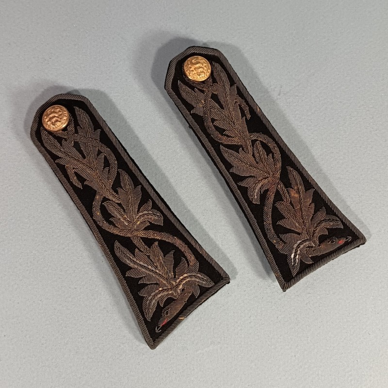 PAIRE D'EPAULETTES D'OFFICIER SUPERIEUR DU SERVICE DE SANTE MEDECIN POUR LA TENUE DE GALA OU LE SPENCER TROISIEME REPUBLIQUE