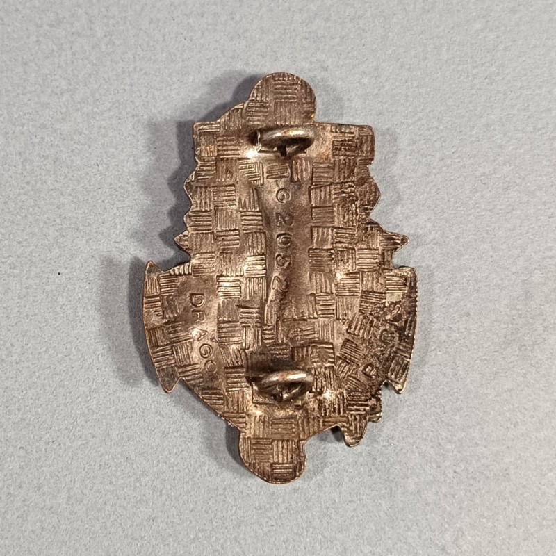 INSIGNE MILITAIRE 4 ème RIAOM REGIMENT INTER ARMES D'OUTRE MER FABRICATION DRAGO PARIS G 2052