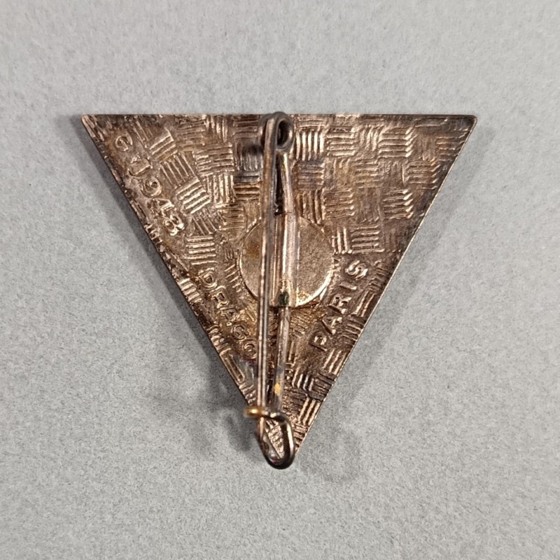 INSIGNE MILITAIRE 2 ème BEP REP PARACHUTISTE LEGION ETRANGERE PARA FABRICATION DRAGO PARIS G1948 VERT CLAIR