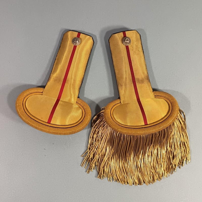 EPAULETTES D'ADJUDANT DE BATAILLON DE CHASSEURS A PIED OU CHASSEURS ALPINS EN BOITE TROISIEME REPUBLIQUE ET TENUE 1931