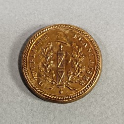 BOUTON ARMEE REVOLUTIONNAIRE MODELE 1790 1792 SUR FOND BOIS GRAND MODULE DIAMETRE 2.7 cm REVOLUTION FRANCAISE