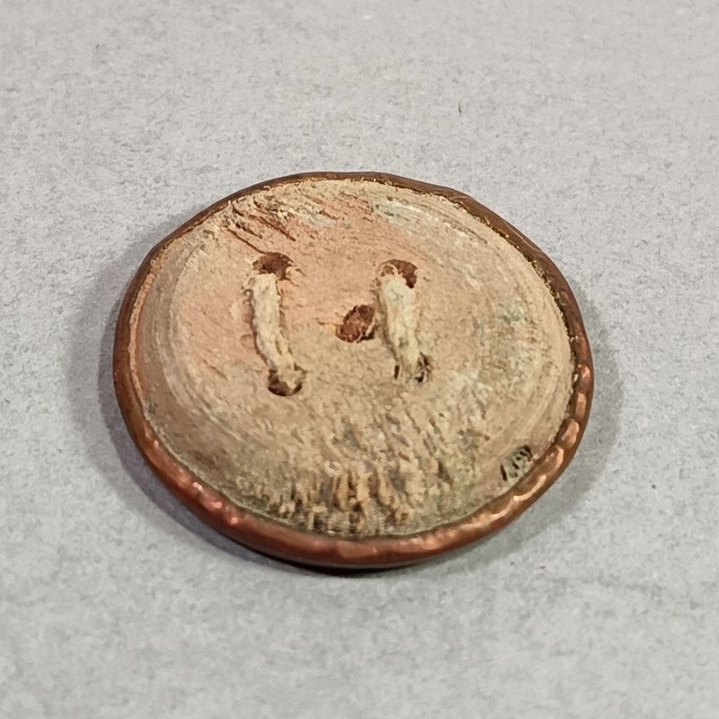 BOUTON ARMEE REVOLUTIONNAIRE MODELE 1790 1792 SUR FOND BOIS GRAND MODULE DIAMETRE 2.7 cm REVOLUTION FRANCAISE