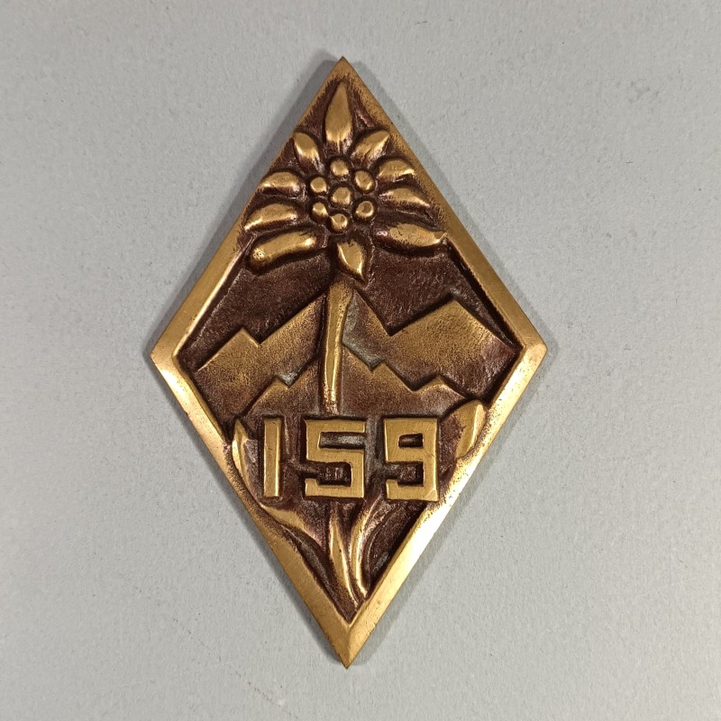 INSIGNE PLAQUE EN BRONZE DU 159 ème RIA 15-9 REGIMENT D'INFANTERIE ALPINE MEQUEE DU COLONEL AU DOS 1968-1970