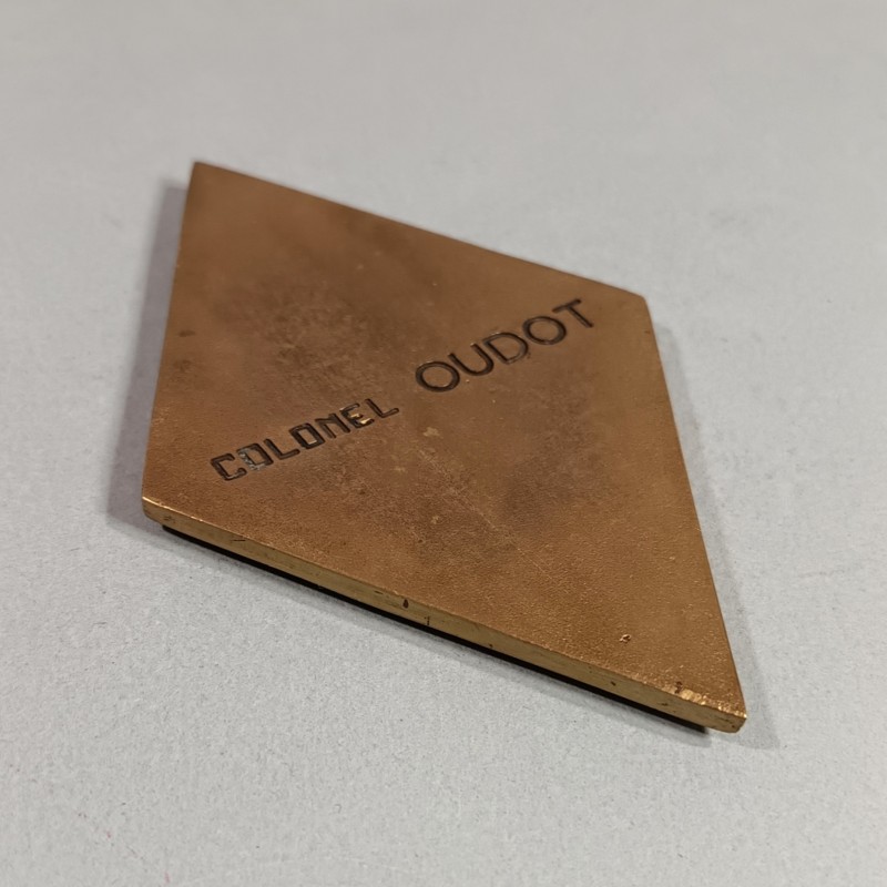 INSIGNE PLAQUE EN BRONZE DU 159 ème RIA 15-9 REGIMENT D'INFANTERIE ALPINE MEQUEE DU COLONEL AU DOS 1968-1970