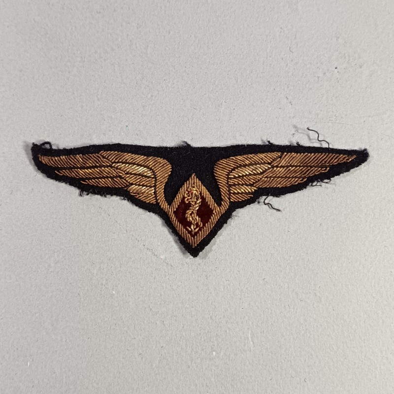 AVIATION INSIGNE DE POITRINE DE MEDECIN ET SERVICE DE SANTE ARMEE DE L'AIR FABRICATION EN CANNETILLE