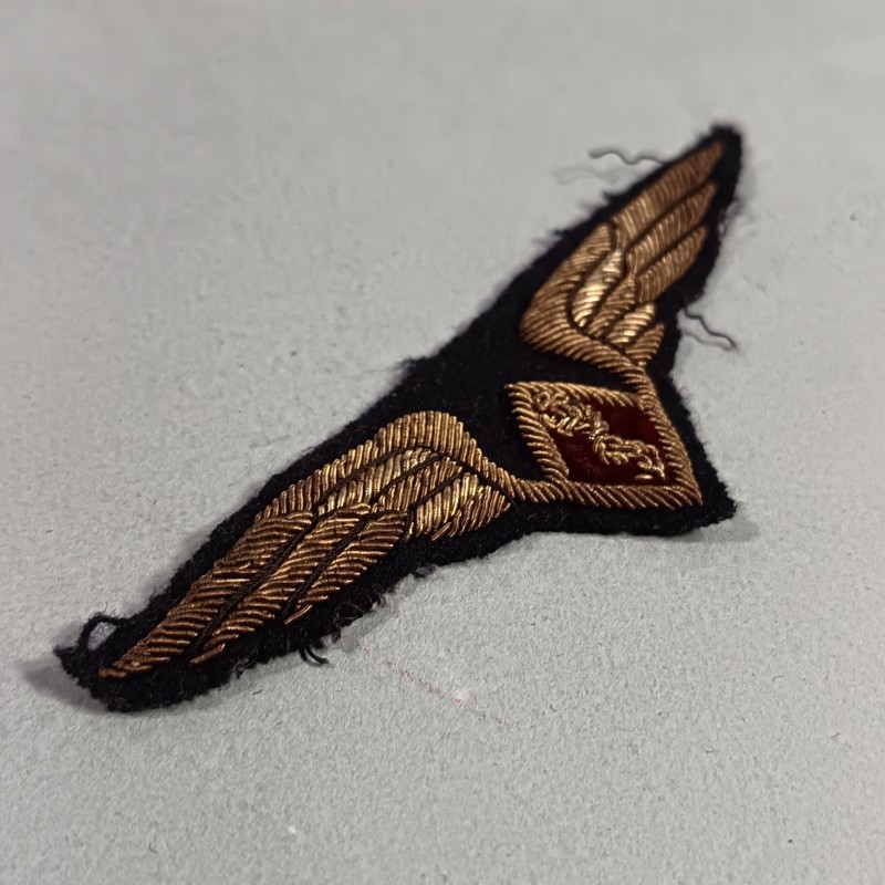 AVIATION INSIGNE DE POITRINE DE MEDECIN ET SERVICE DE SANTE ARMEE DE L'AIR FABRICATION EN CANNETILLE