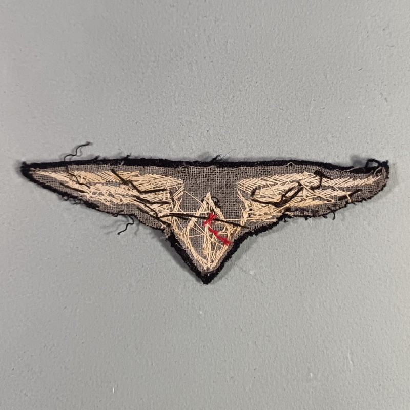 AVIATION INSIGNE DE POITRINE DE MEDECIN ET SERVICE DE SANTE ARMEE DE L'AIR FABRICATION EN CANNETILLE