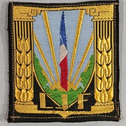 INSIGNE TISSU GENERAL DES CHANTIERS DE JEUNESSE FRANCAIS CJF MARECHAL PETAIN 1940-1944 TISSAGE FOND VERT