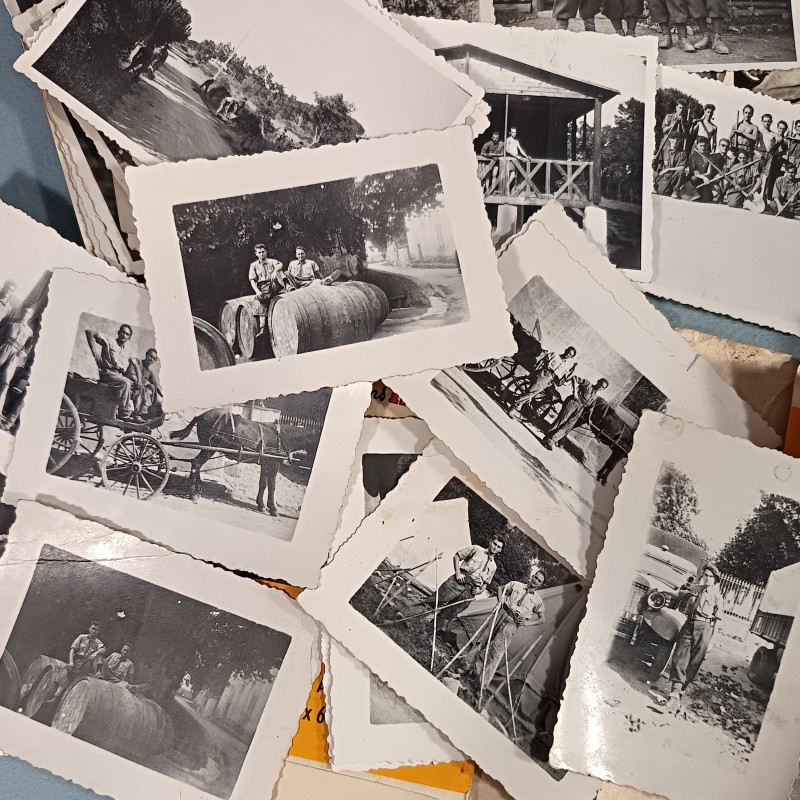 LOT DE PLUS DE 50 PETITES PHOTOS DES ANNEES 1940 A 1945 DES CJF CHANTIERS DE JEUNESSE AVEC UN INSIGNE TISSU