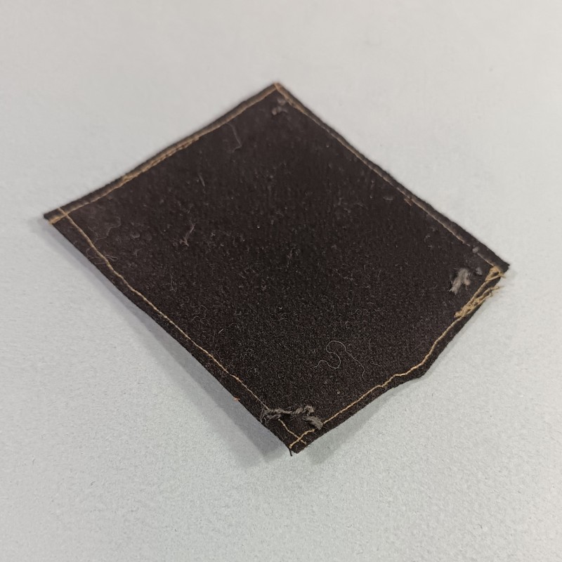 INSIGNE TISSU GENERAL DES CHANTIERS DE JEUNESSE FRANCAIS CJF MARECHAL PETAIN PERIODE GVT VICHY 1940 - 1944