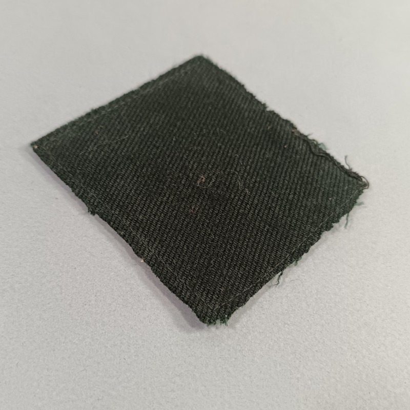 INSIGNE TISSU GENERAL DES CHANTIERS DE JEUNESSE FRANCAIS CJF MARECHAL PETAIN PERIODE GVT VICHY 1940 - 1944