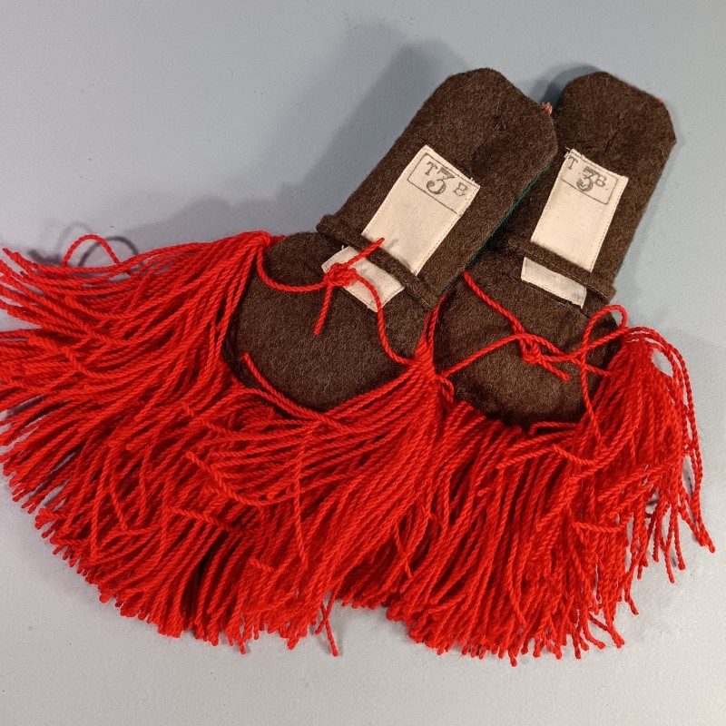 PAIRE D'EPAULETTES DE TRADITION LEGION ETRANGERE TROUPE FABRICATION SECONDE GUERRE OU INDOCHINE FABRICATION MARQUEE T3B